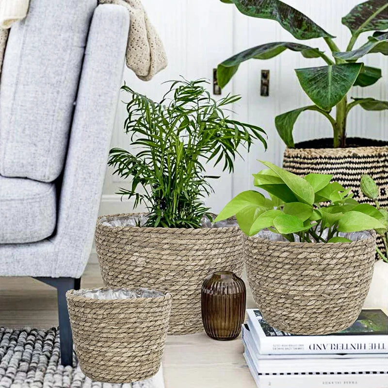 Woven Seagrass Plant Basket — Natural Pot Cover