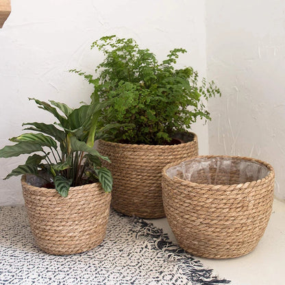 Woven Seagrass Plant Basket — Natural Pot Cover