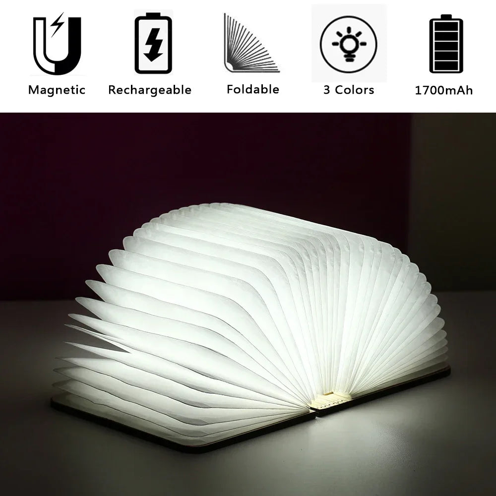 Book lamp opened out on a desk beside books